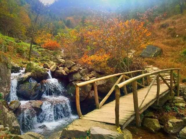 逃离废弃自然公园